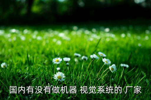 國內(nèi)有沒有做機器 視覺系統(tǒng)的 廠家