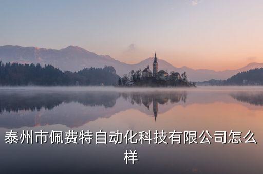 泰州市佩費特自動化科技有限公司怎么樣