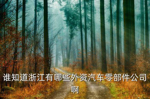元創(chuàng)盛自動化設(shè)備有限公司,新鄉(xiāng)市創(chuàng)盛游樂設(shè)備有限公司