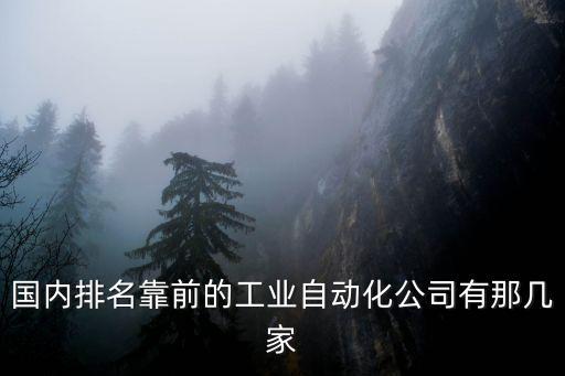 國內(nèi)排名靠前的工業(yè)自動化公司有那幾家