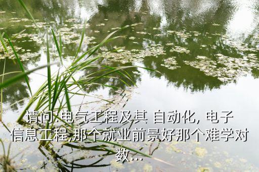 請問:電氣工程及其 自動化, 電子信息工程,那個就業(yè)前景好那個難學(xué)對數(shù)...