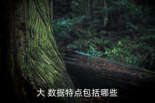 大 數(shù)據(jù)特點(diǎn)包括哪些