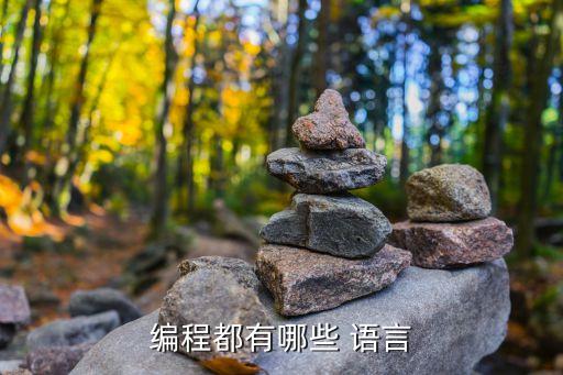 編程都有哪些 語言