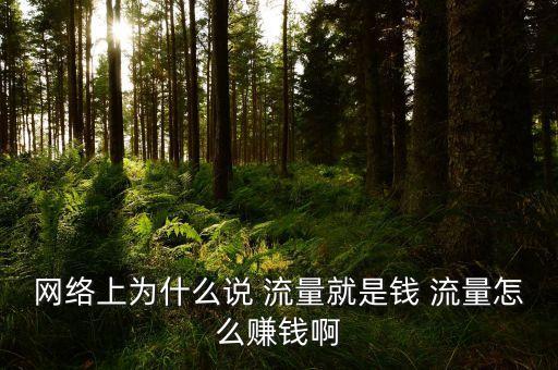 網(wǎng)絡(luò)上為什么說 流量就是錢 流量怎么賺錢啊