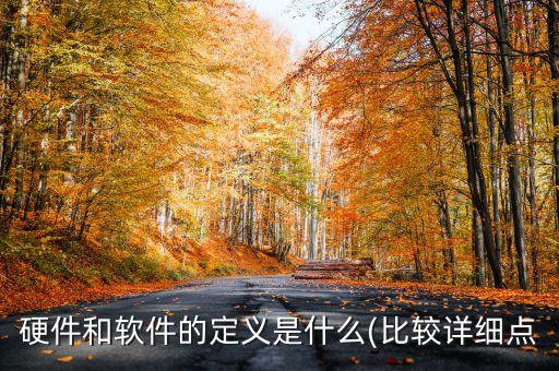 硬件和軟件的定義是什么(比較詳細點