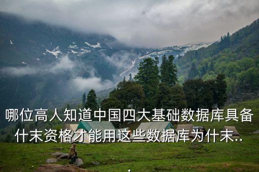 哪位高人知道中國四大基礎(chǔ)數(shù)據(jù)庫具備什末資格才能用這些數(shù)據(jù)庫為什末...