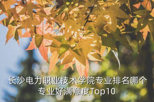  長(zhǎng)沙電力職業(yè)技術(shù)學(xué)院專業(yè)排名哪個(gè)專業(yè)好滿意度Top10