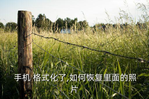 手機(jī)格式化了怎么回復(fù)數(shù)據(jù),格式化手機(jī)后怎樣找回原來的數(shù)據(jù)