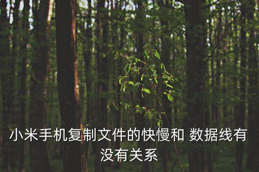 小米手機(jī)復(fù)制文件的快慢和 數(shù)據(jù)線有沒有關(guān)系