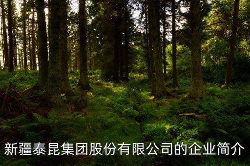 新疆泰昆集團(tuán)股份有限公司的企業(yè)簡(jiǎn)介