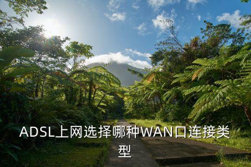 ADSL上網(wǎng)選擇哪種WAN口連接類型