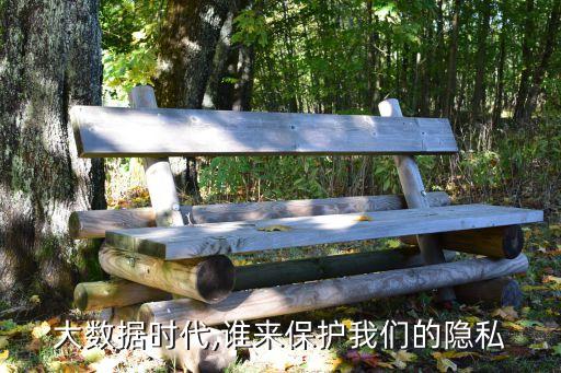 數(shù)據(jù)匿名化 公共,大數(shù)據(jù)時(shí)代的數(shù)據(jù)匿名化有何用?