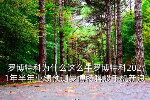 新加坡自動化轉(zhuǎn)型公司,新加坡移民如何在本地創(chuàng)辦公司