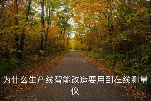 為什么生產(chǎn)線智能改造要用到在線測量儀