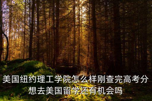 美國(guó)紐約理工學(xué)院怎么樣剛查完高考分想去美國(guó)留學(xué)還有機(jī)會(huì)嗎