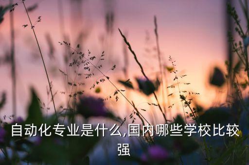 工業(yè)自動化專業(yè)哪個好,自動化專業(yè):就業(yè)前景有什么不同?