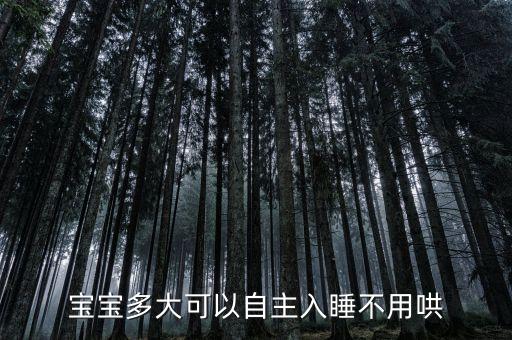 寶寶多大可以自主入睡不用哄