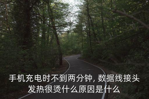 數(shù)據(jù)線燙胳膊,充電數(shù)據(jù)線非常燙