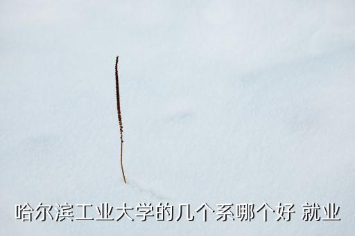 哈工大電氣自動化好就業(yè)么