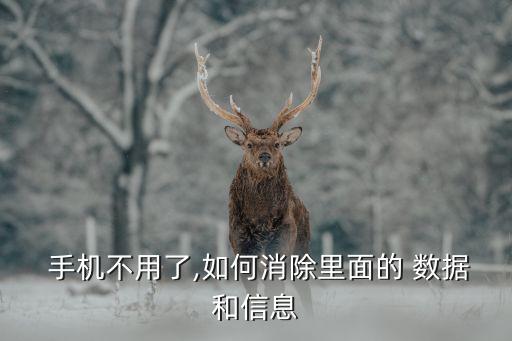  手機(jī)不用了,如何消除里面的 數(shù)據(jù)和信息
