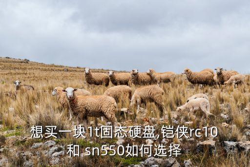 想買(mǎi)一塊1t固態(tài)硬盤(pán),鎧俠rc10和 sn550如何選擇