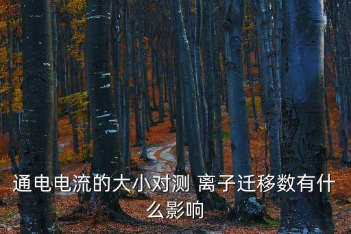 通電電流的大小對(duì)測(cè) 離子遷移數(shù)有什么影響