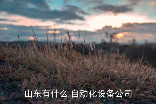 山東有什么 自動(dòng)化設(shè)備公司