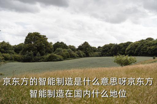 京東方的智能制造是什么意思呀京東方智能制造在國內(nèi)什么地位