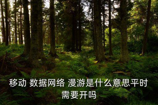 數(shù)據(jù)漫游要打開么,iphone數(shù)據(jù)漫游在哪里打開