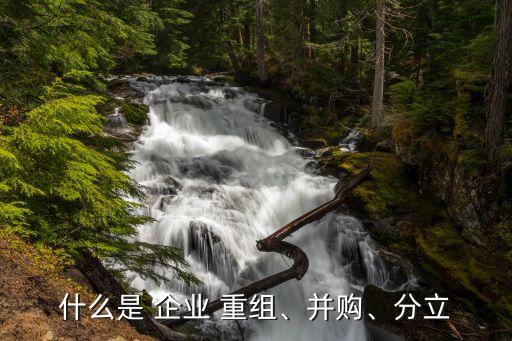 什么是 企業(yè) 重組、并購、分立