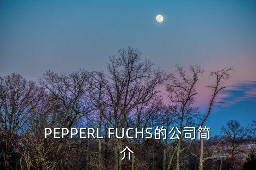 PEPPERL FUCHS的公司簡介