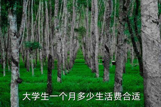 中國(guó)大學(xué)生消費(fèi)大數(shù)據(jù)
