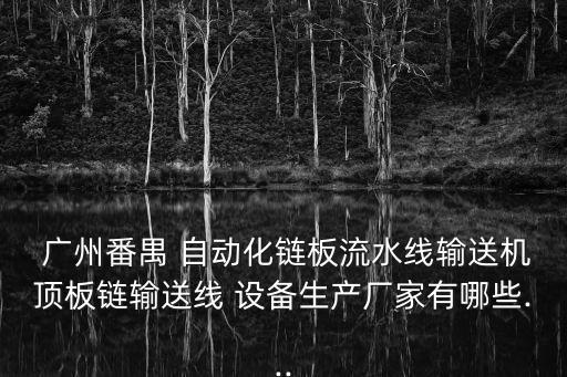  廣州番禺 自動(dòng)化鏈板流水線輸送機(jī)頂板鏈輸送線 設(shè)備生產(chǎn)廠家有哪些...
