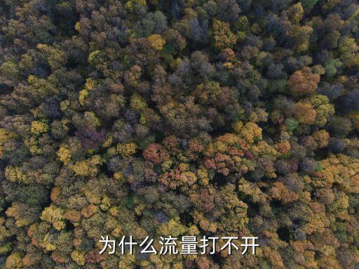 為什么流量打不開