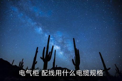 電氣柜 配線用什么電纜規(guī)格