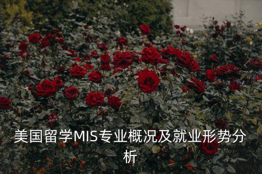 美國(guó)留學(xué)MIS專業(yè)概況及就業(yè)形勢(shì)分析