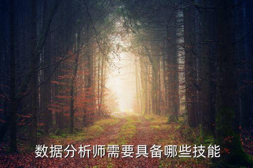  數(shù)據(jù)分析師需要具備哪些技能