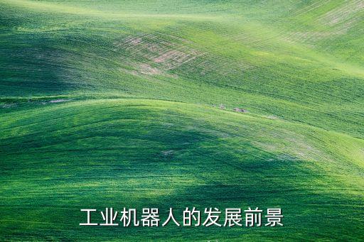 工業(yè)機(jī)器人的發(fā)展前景