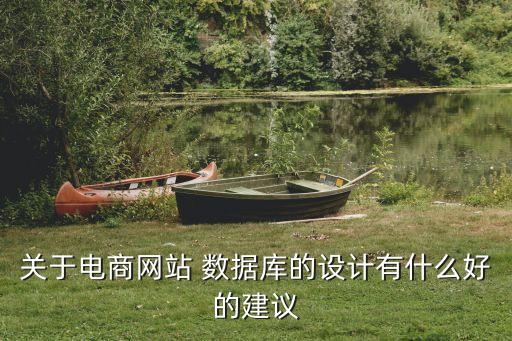 關(guān)于電商網(wǎng)站 數(shù)據(jù)庫的設(shè)計(jì)有什么好的建議