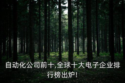 全球自動(dòng)化公司前十,全球十大電子企業(yè)排行榜出爐!