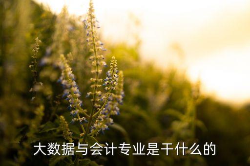 大數(shù)據(jù)與會計專業(yè)是干什么的