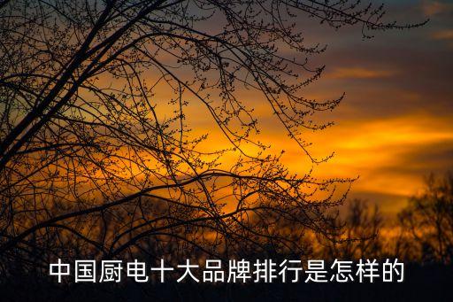 中國(guó)廚電十大品牌排行是怎樣的