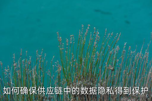 如何確保供應鏈中的數(shù)據(jù)隱私得到保護