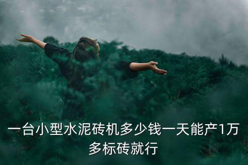 一臺小型水泥磚機(jī)多少錢一天能產(chǎn)1萬多標(biāo)磚就行