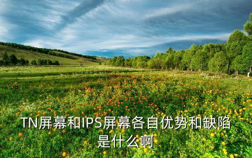TN屏幕和IPS屏幕各自優(yōu)勢(shì)和缺陷是什么啊