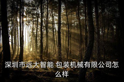 深圳市遠(yuǎn)大智能 包裝機(jī)械有限公司怎么樣