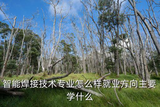 智能焊接技術(shù)專業(yè)怎么樣就業(yè)方向主要學(xué)什么