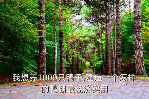 生態(tài)養(yǎng)殖鴨自動化設(shè)備,殺鴨自動化設(shè)備