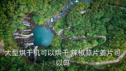大型烘干機(jī)可以烘干 辣椒蒜片姜片可以嗎
