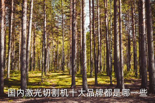 國內(nèi)激光切割機(jī)十大品牌都是哪一些